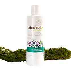 Almocado stage 1 shampooing aux algues (brins ensemble) 250ml