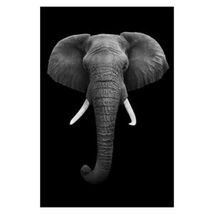 Tableau Africain Éléphant Noir Blanc. Acheter vos vêtements africains en ligne sur Monde Africain.com .