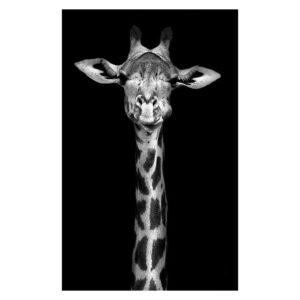 Tableau Africain Girafe Noir Blanc. Acheter vos vêtements africains en ligne sur Monde Africain.com .